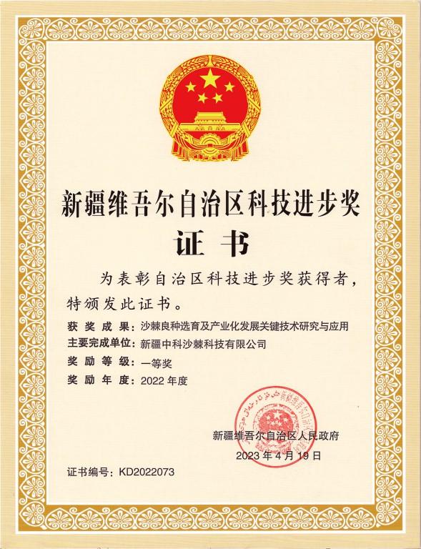 新疆中科沙棘科技有限公司榮獲新疆維吾爾自治區科技進(jìn)步獎一等獎